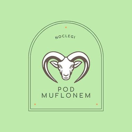 Noclegi Pod Muflonem 瓦乌布日赫 外观 照片